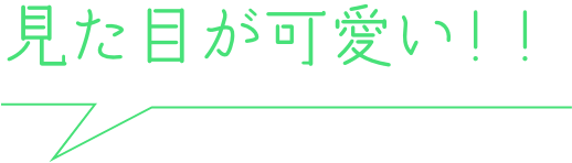 見た目が可愛い！！