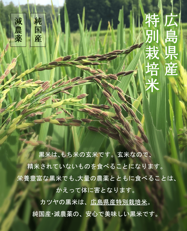 広島県産特別栽培米。純国産・減農薬