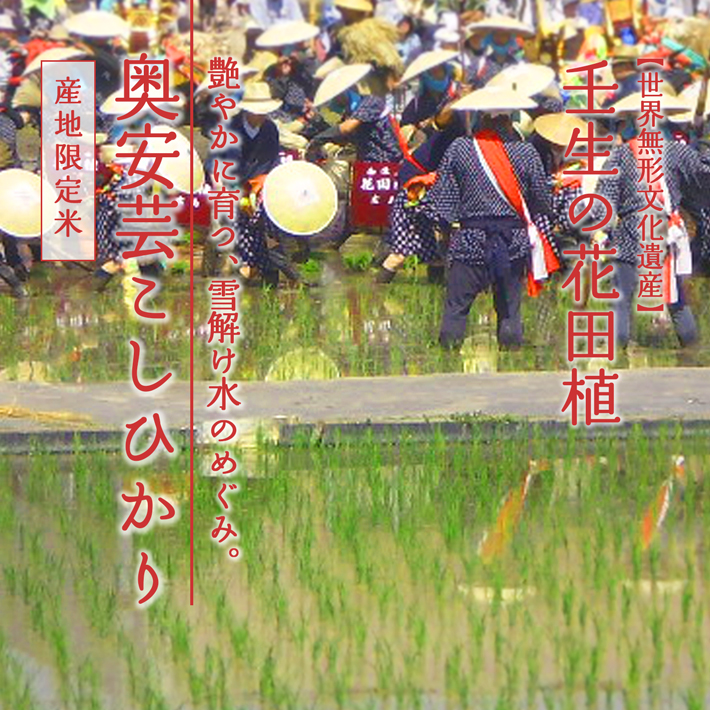 壬生の花田植 奥安芸こしひかり