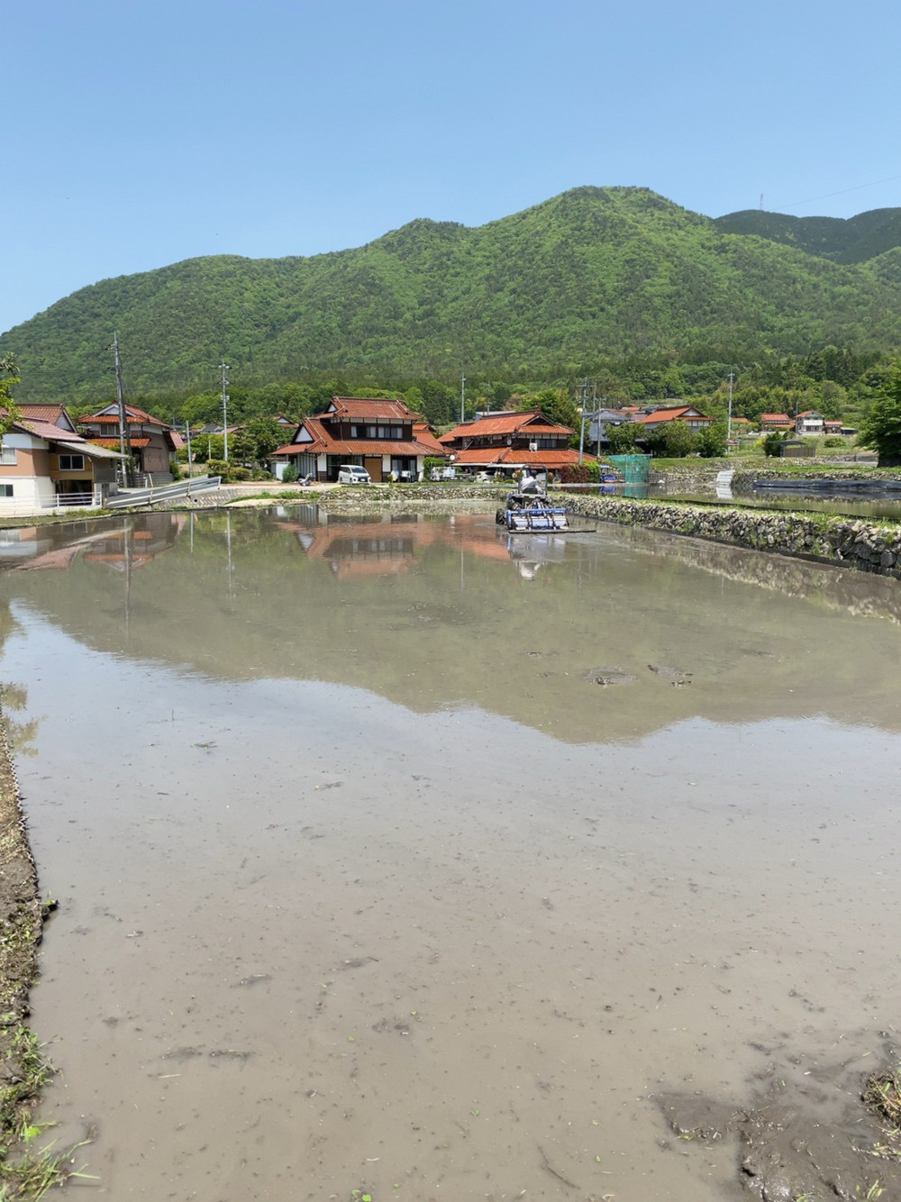 水が入った田んぼ