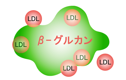 ３、悪玉コレステロール吸着排泄