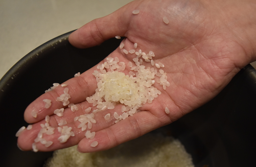 洗米した握った形の米