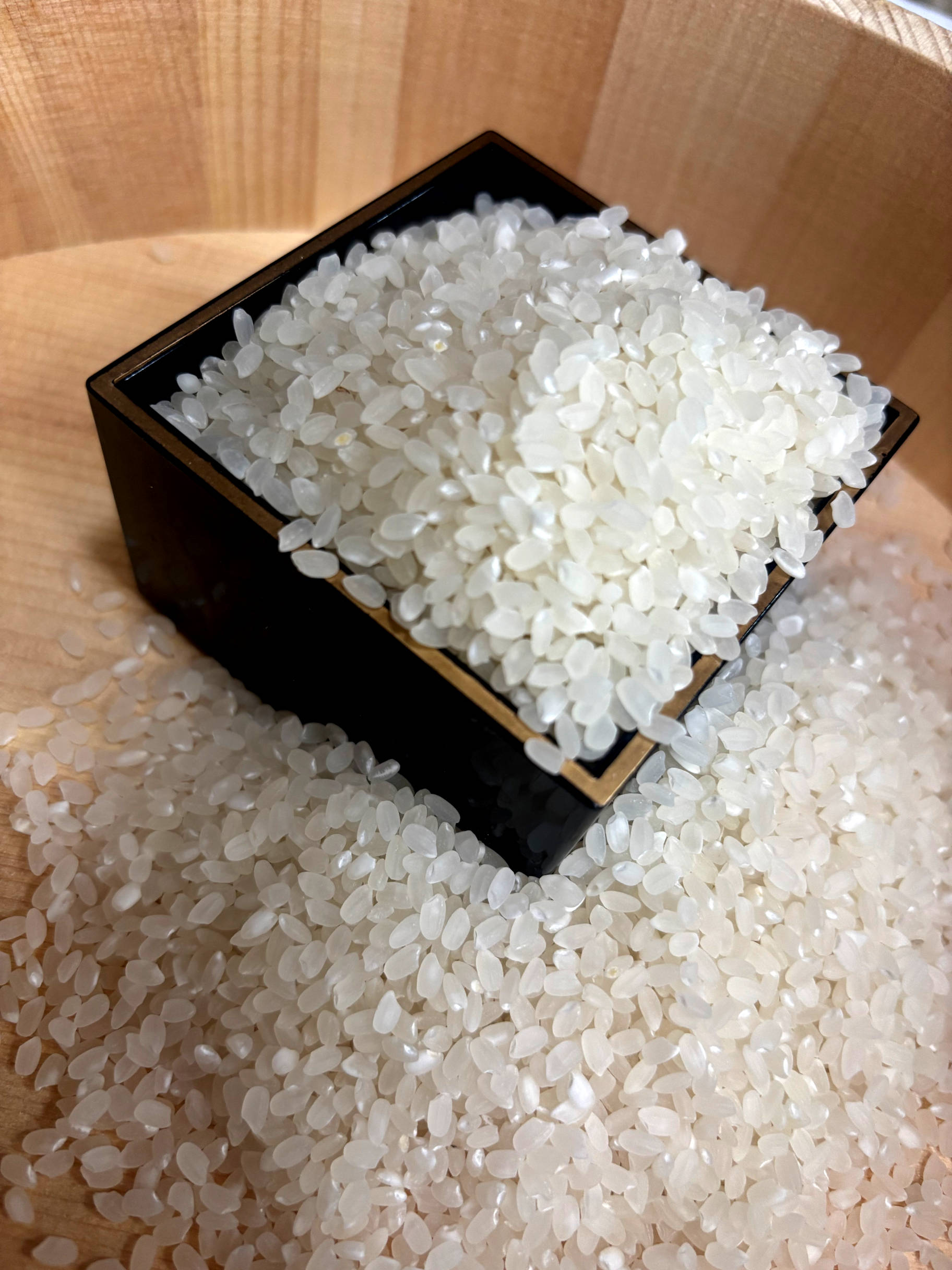 オーガニックライス-有機米-